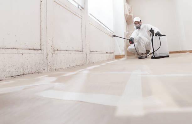24/7 Emergency Basement Mold Removal experts in Sunbury, PA